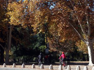 ¿Campera o saquito? cómo estará el viernes en Mendoza