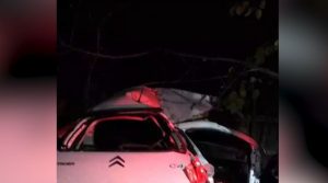 Dos jóvenes chocaron en su auto contra un árbol en Luján: una de ellas falleció y la otra está grave