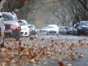 Alerta: ¿A qué hora podría bajar el Zonda a Mendoza este viernes?