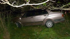 Volcó, impactó contra un árbol y murió