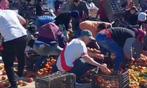 Un camión cargado de verduras volcó y los vecinos se llevaron todo