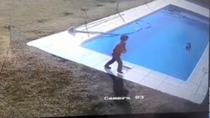 Video: un niño de 5 años rescató a su perro de morir ahogado