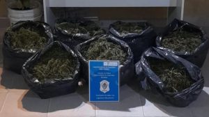 Denunció un robo en su casa pero lo detuvieron por tener marihuana