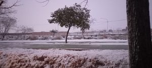 Nieve en el Gran Mendoza y mucho frío: ¿hasta cuándo?