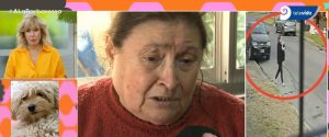 "No me pidas plata, no tenemos, somos pobres": El pedido desconsolado de dos abuelitos a quienes le robaron el perrito