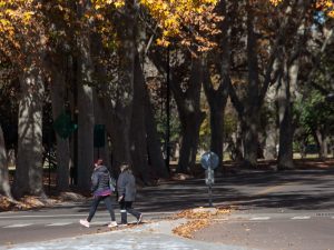 Llega un frente frío a Mendoza: ¿cuándo y cuánto baja la temperatura?