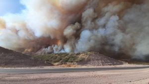 Fotos y videos: incendios en Mendoza por el Zonda