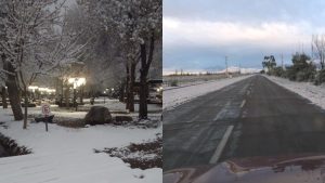 Llegó la primavera a Mendoza ¡con nieve!