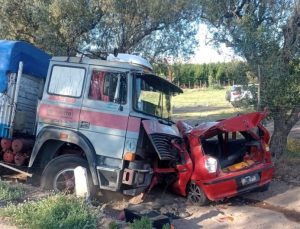 Mendoza: una pareja murió tras chocar con su auto contra un camión