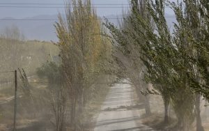 ¿De qué se trata el viento caliente que está soplando en Mendoza?