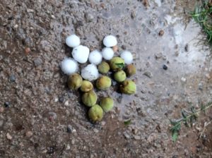 La brutal piedra que sorprendió a una localidad cuyana en medio de la ola de calor