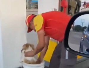 El video más dulce: un playero bañó a un perrito para protegerlo del calor