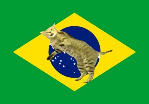 Los originales memes de “la maldición del gato” a Brasil