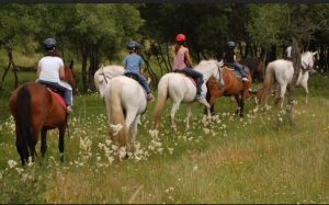 Mendoza: una turista falleció en una cabalgata en Tunuyán