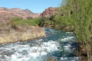 Murió una turista de 63 años en Malargüe