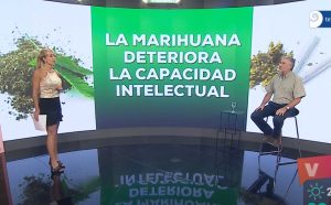 ¿Qué pasa si consumís marihuana desde adolescente?