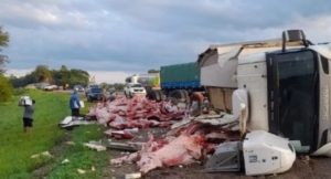 "Cultural, social y económicamente terminados": volcó un camión de carne y los vecinos lo saquearon