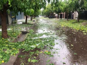 Atención: alerta amarilla por tormentas y granizo para este martes en Mendoza