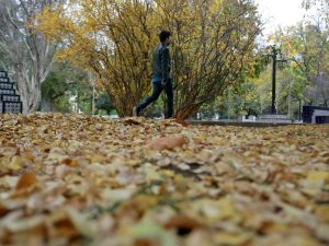 ¿Ya buscaste tu abrigo?: así estará el tiempo este jueves