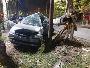 Mendoza: un joven falleció tras chocar en su auto contra un árbol en el Acceso Este