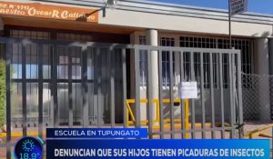 Mendoza: padres denuncian que sus hijos vienen con picaduras de la escuela