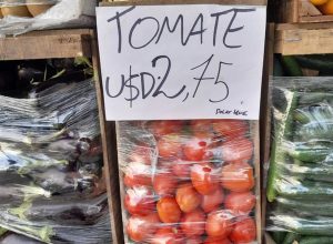 Viral: La verdad detrás del verdulero que vende el tomate en dólares