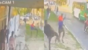 Video: otra vez con una patada voladora vecinos detuvieron a un peligroso delincuente