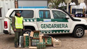 Mendoza: Secuestraron más de 100 kilos de hojas de Coca