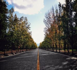 Estado del tiempo en Mendoza: ¿Cuándo regresa el frío?