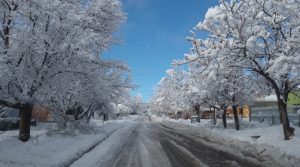 Alerta amarilla por nevadas en Mendoza: qué zonas afectaría