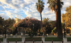 Comienza a subir la temperatura: ¿en cuánto estará este lunes?