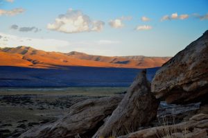 Vacaciones económicas: ¿Conocés el bosque petrificado con fósiles de Mendoza?