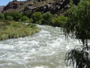 Tragedia en Mendoza: murió un hombre ahogado en un río