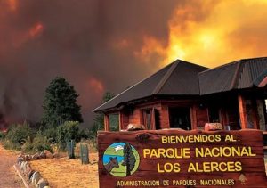 Videos: está "fuera de control" el incendio forestal en el Parque Nacional Los Alerces y ya arrasó casi 600 hectáreas