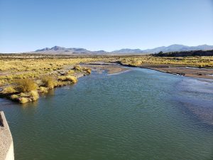 Vacaciones económicas: camping y las mejores truchas a solo 4 horas de Mendoza