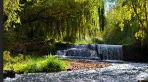 Vacaciones económicas: acampa en este hermoso bosque rodeado de ríos a una hora de la Ciudad de Mendoza