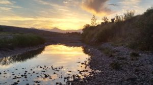 Vacaciones económicas: el parque a minutos de la ciudad de Mendoza dónde cruza el río y es ideal para pasear en familia