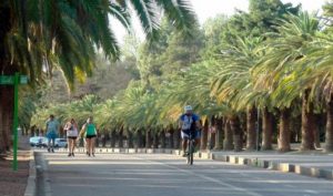 Tiempo en Mendoza: domingo agradable pero ¿cuándo regresa la lluvia?