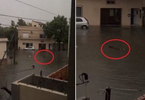 Video escalofriante: en medio de la inundación apareció un muerto entre las casas