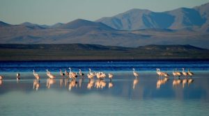 Fin de semana gasolero: 13 áreas naturales que tenes que recorrer en Mendoza