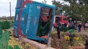 Accidente fatal en General Alvear: un camión cargado de frutas chocó contra un colectivo