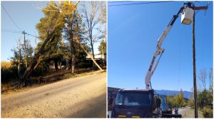 Ya se siente el Zonda en Potrerillos: árboles caídos y cortes de luz