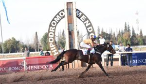 Una joven está muy grave tras ser pateada por un caballo en Mendoza