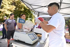 Mendoza: cuándo y dónde conseguir un bolsón de verduras a $3.000 y elkilo de milanesas a $4.300