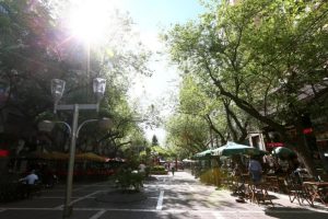 El tiempo en Mendoza: domingo agradable con ascenso de la temperatura ¿A cuánto llegará la máxima?