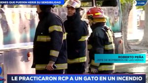 Los Bomberos que intentaron salvar a un gato de un incendio marcharán para pedir una pensión para los voluntarios